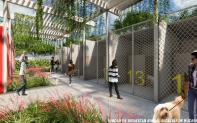 Bucaramanga construirá la Unidad de Bienestar Animal