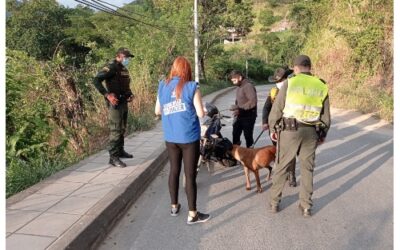 Se refuerzan los controles y patrullajes en el Corregimiento 2