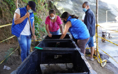 Plan piloto comunitario de compostaje entregó sus primeros frutos