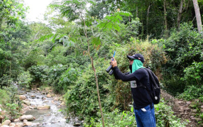 Con 152 observadores, Bucaramanga ocupó el cuarto puesto en  evento internacional de Ciencia Ciudadana