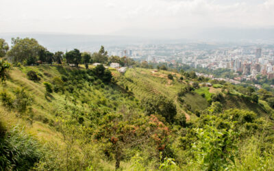 Con la participación de estudiantes, Bucaramanga tendrá su Plan de Educación Ambiental