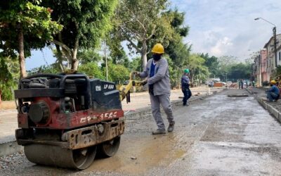 Así avanzarán los trabajos de malla vial, alumbrado público y poda de árboles