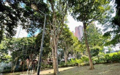 La próxima semana iniciará la modernización del alumbrado público en Cabecera
