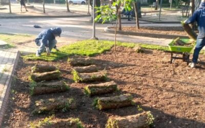 Alcaldía abrió licitación para el mantenimiento de parques y zonas verdes