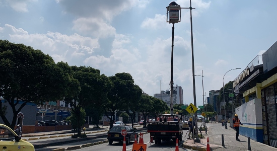 Así avanzarán los trabajos de alumbrado público y poda de árboles