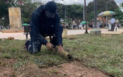 Alcaldía fortalecerá la restauración de parques y zonas verdes