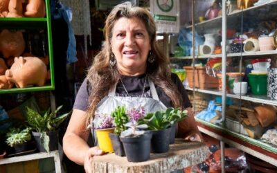 En estas plazas de mercado encuentra plantas para el Domingo de Ramos