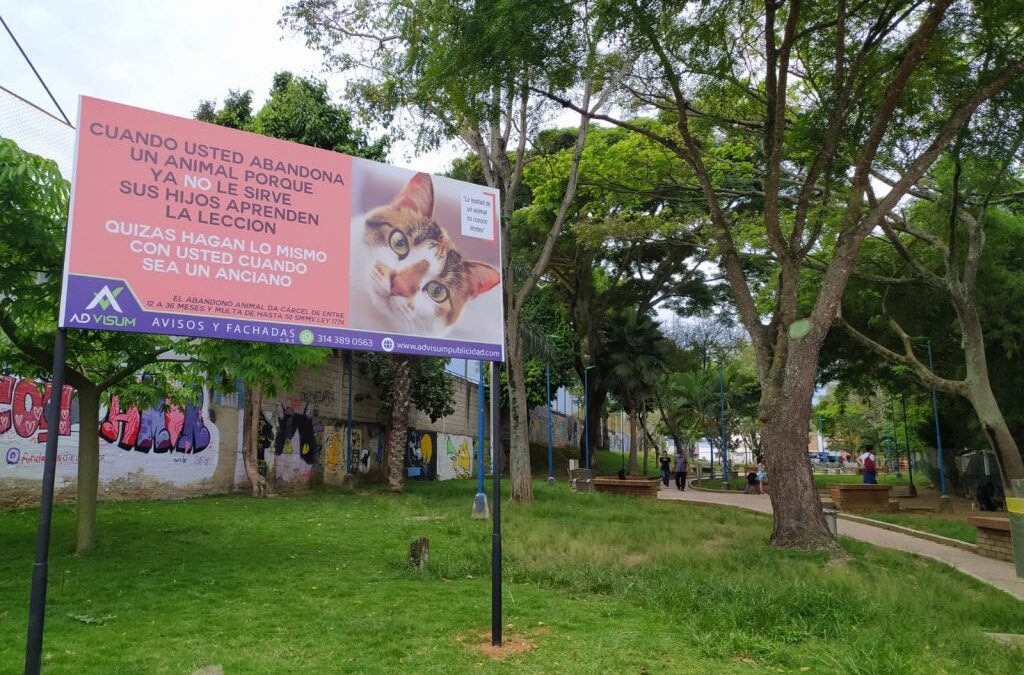 Alcaldía impuso millonaria multa a mujer que abandonó y maltrató a un gato en un parque