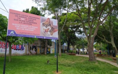 Alcaldía impuso millonaria multa a mujer que abandonó y maltrató a un gato en un parque
