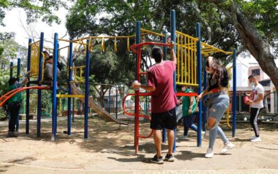 Dos mil horas de trabajo comunitario han cumplido 330 infractores