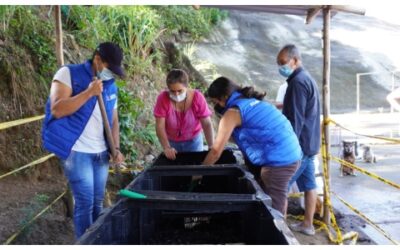 Bucaramanga le apuesta a los proyectos comunitarios de educación ambiental