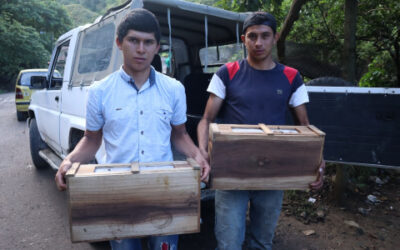 25 jóvenes rurales recibieron colmenas para emprender con la apicultura