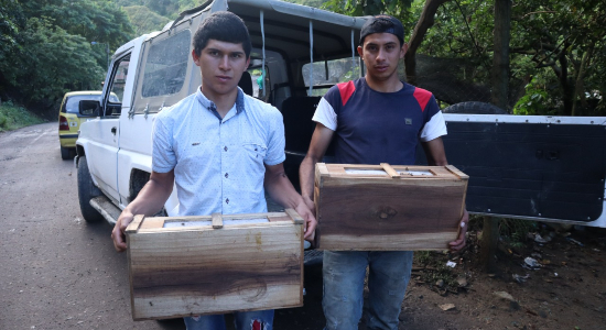 25 jóvenes rurales recibieron colmenas para emprender con la apicultura