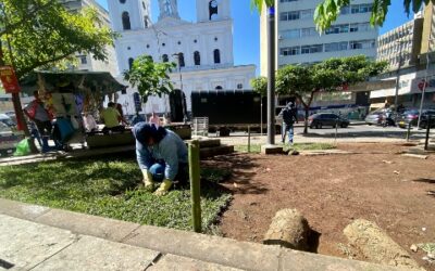 Comienza a renacer el tejido verde del Parque Santander