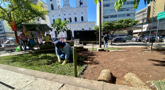 Comienza a renacer el tejido verde del Parque Santander
