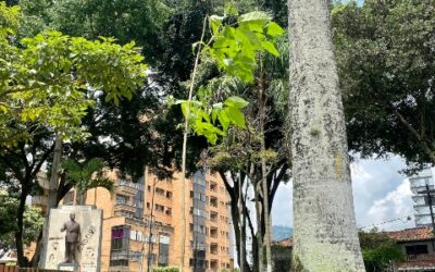 El verde resplandece en el Parque Turbay