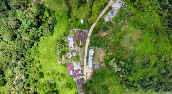 El sector rural estrena 1.1 kilómetros de placa huellas