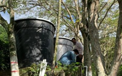 Se contratará la instalación y conexión del servicio de agua potable en el asentamiento Villa Carmelo