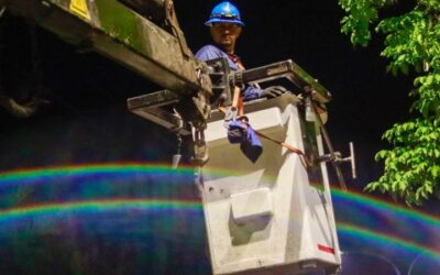 Adjudicado contrato de materiales eléctricos para el mantenimiento del alumbrado público