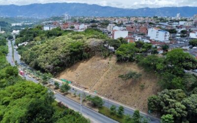 Se sembraron más de 200 árboles en el talud del barrio La Victoria para recuperar su tejido verde