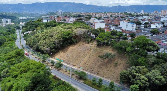 Se sembraron más de 200 árboles en el talud del barrio La Victoria para recuperar su tejido verde