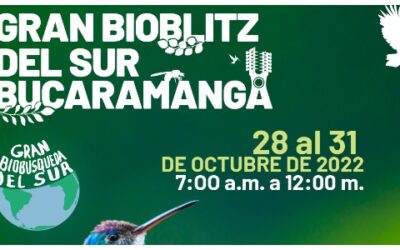 ¿Le toma fotos a las especies que hay en la ciudad? Participe en Bioblitz