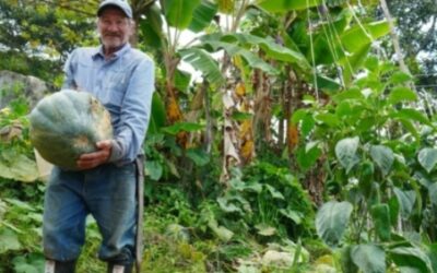 ¡Así conmemoraremos el Día del Campesino!