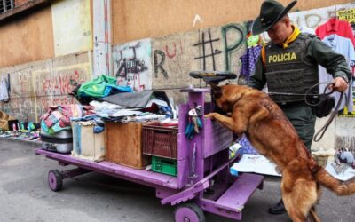 Alcaldía realizó operativo de vigilancia y control en ‘Las Pulgas’