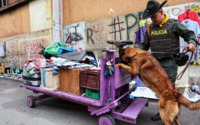 Alcaldía realizó operativo de vigilancia y control en ‘Las Pulgas’