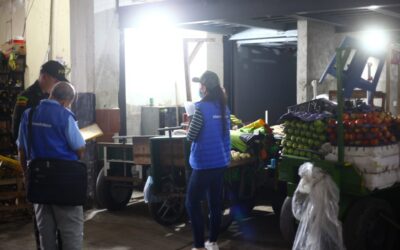 Seis establecimientos, que almacenaban alimentos insalubres, fueron sellados