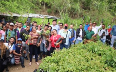 En el 2022 se entregaron más de 19 mil plántulas en el sector rural
