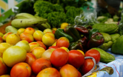Haga sus compras navideñas en los Mercadillos Campesinos