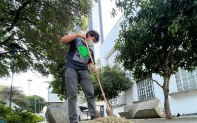 Pague sus comparendos policivos realizando trabajo comunitario