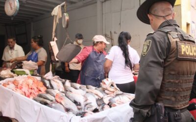 Se selló establecimiento en donde se comercializaba pescado en condiciones deplorables
