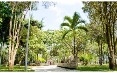 ¡Se respira un nuevo aire en el Parque Fontana!