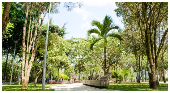 ¡Se respira un nuevo aire en el Parque Fontana!
