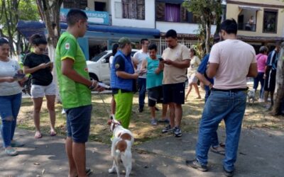 Rechazamos el envenenamiento de 21 perros y gatos en el barrio El Porvenir