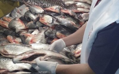 Recomendaciones para el consumo de pescado en Semana Santa