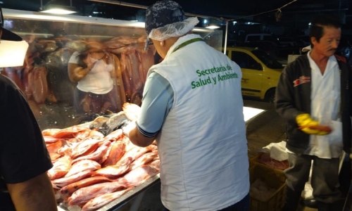 Estas son las recomendaciones para comprar pescado en Semana Santa