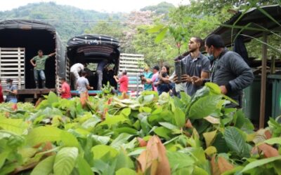 200 familias del campo serán beneficiadas con la entrega de plántulas y sistemas de riego