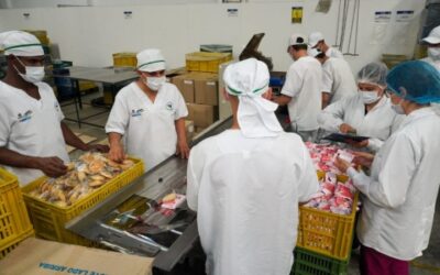 Así se verifican las condiciones de los productos entregados en el PAE