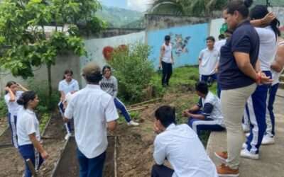 Bucaramanga ya tiene 26 huertas urbanas