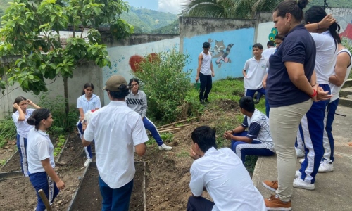 Bucaramanga ya tiene 26 huertas urbanas