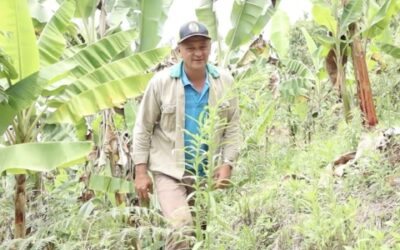 Conozca la historia de Luis Alberto, campesino beneficiado con el proyecto de plántulas