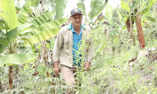 Conozca la historia de Luis Alberto, campesino beneficiado con el proyecto de plántulas