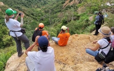 Reto Naturalista 2023, conozca y aprenda sobre la biodiversidad de Bucaramanga