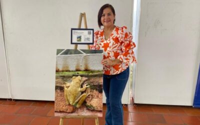 ‘Bichitos’, la exposición que resultó de los Proyectos Ambientales Escolares (PRAE)