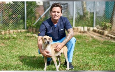 Más de 18 mil esterilizaciones gratuitas se han realizado a perros y gatos en Bucaramanga