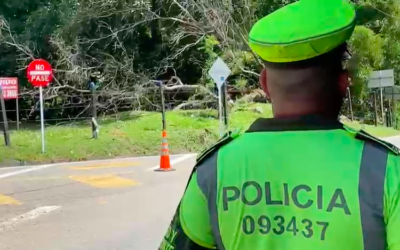 Conozca las cifras de seguridad tras puente festivo