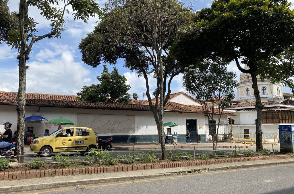 Las plantas endémicas que le dan vida a las calles de Bucaramanga